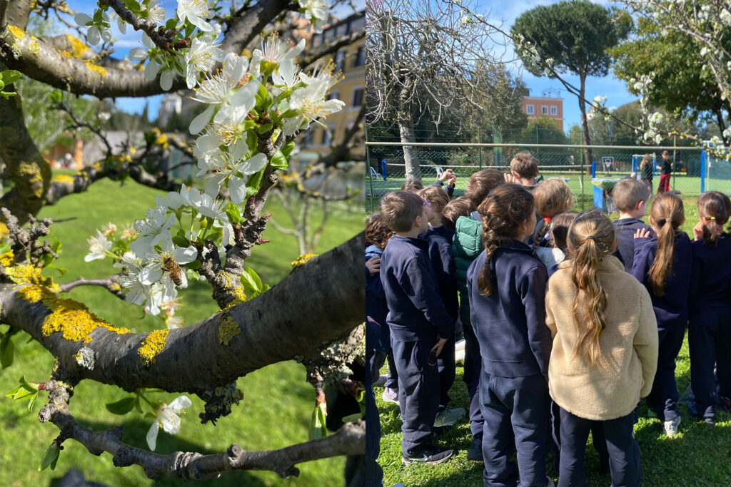 scuola e natura